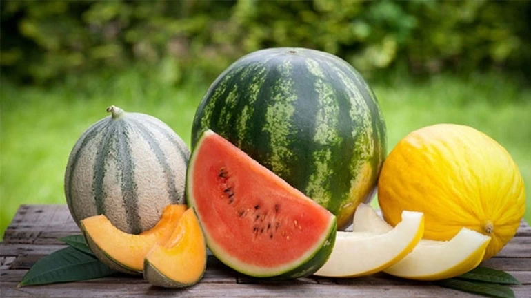 Καρπούζι ή Πεπόνι: Ποιο είναι το καλύτερο για εσάς;